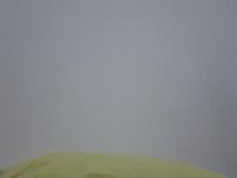 tanya_vader webcam model stream image