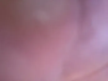 muscle_mouse webcam model stream image