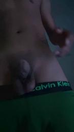 Cholomir webcam model stream image