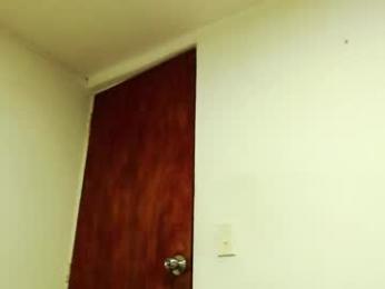 dualdoflow webcam model stream image