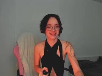 2b_ webcam model stream image