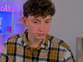 fose-di webcam model stream image