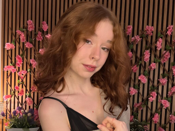 AuroraPie webcam model stream image