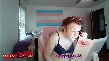 VanFairy526 webcam model stream image