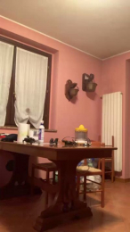 twin57 webcam model stream image