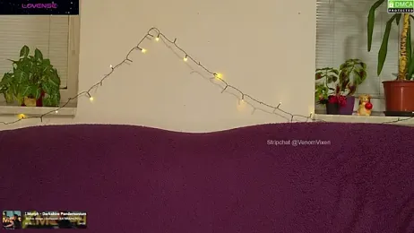 VenomVixen webcam stripchat model stream image