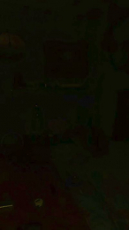 Carcaman webcam model stream image