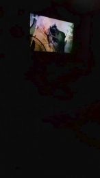 Carcaman webcam model stream image