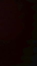 Carcaman webcam model stream image