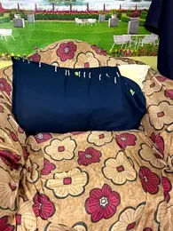 FlatVincy4 webcam model stream image