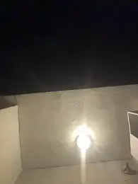 eddy355 webcam stripchat model stream image