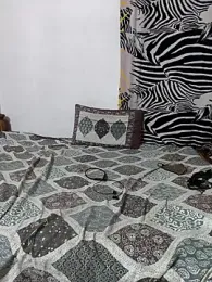 Best_Kannada_Couple webcam model stream image