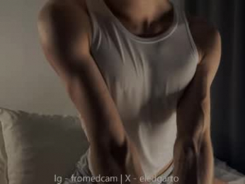 fromedcam webcam model stream image