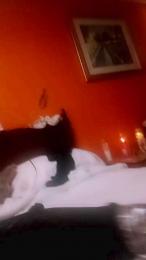 Myflixxx webcam model stream image