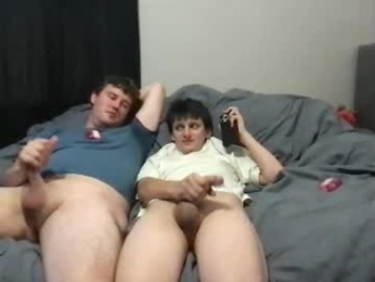 d_dart webcam model stream image