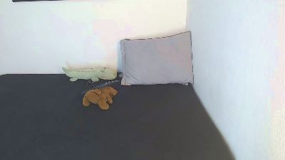 Robisson_zack webcam model stream image