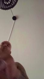 Tinytairap webcam model stream image