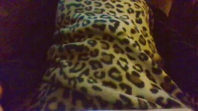 sexyladyp webcam model stream image