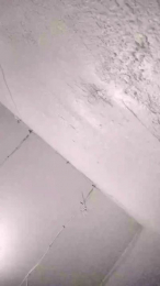 Jositomoles webcam model stream image