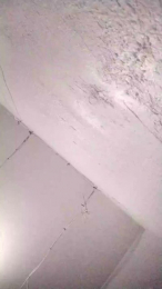 Jositomoles webcam model stream image