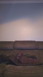 auplusprofond webcam model stream image