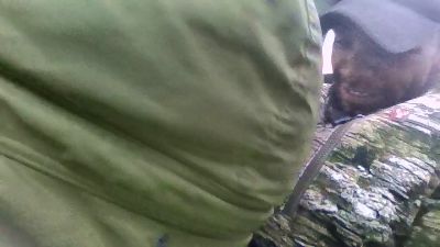 bidealsr webcam model stream image