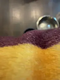 Jll9212 webcam model stream image