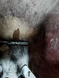 X-boy-11 webcam model stream image