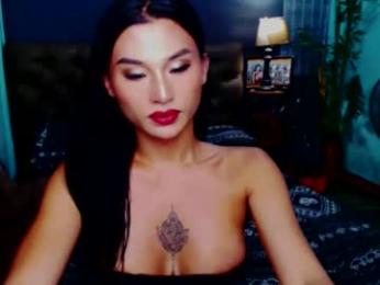 msasianbigcockts webcam model stream image