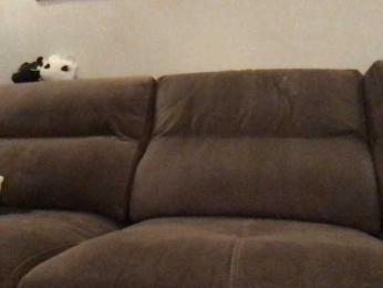 MaggieModest webcam model stream image