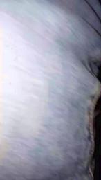 jinoyjeny webcam model stream image