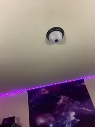 shakeweight webcam model stream image