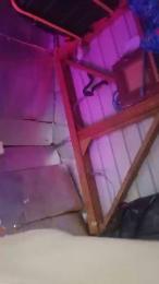 Prettyboytatted webcam model stream image