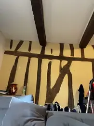 Toto-pika webcam model stream image