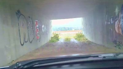 maglernen webcam model stream image