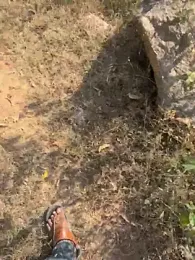 ONestark webcam model stream image