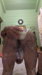 rfrayre webcam model stream image