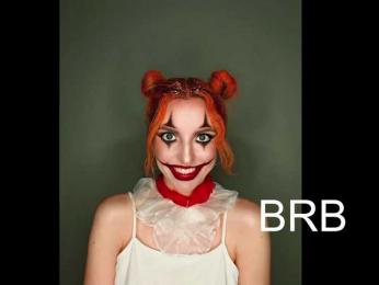 Visbee webcam model stream image