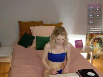 Visbee webcam model stream image