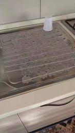 Speziata webcam model stream image