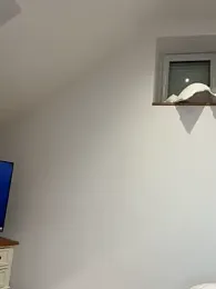 carlaaa webcam model stream image