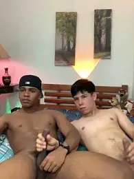 DEMOND_333 webcam model stream image