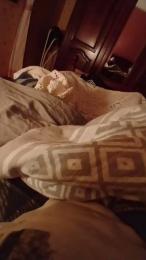 teddy2008 webcam cam4 model stream image