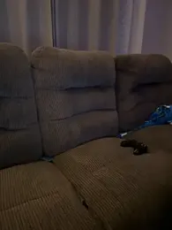 PuckBunny17 webcam model stream image