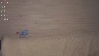 LaneGarness webcam model stream image