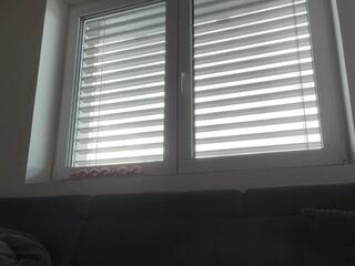 Sean Mendes webcam model stream image