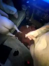 Nawtyboy97 webcam model stream image