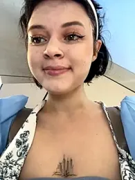 Times__Square webcam model stream image