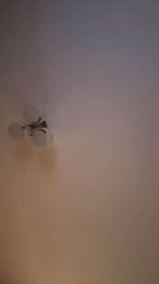 brokebrosexy webcam model stream image
