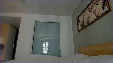 kokyokka_v webcam model stream image